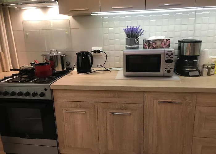 Apartament Vitan Mall *